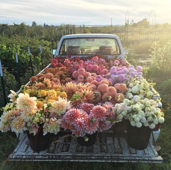 Whispers of Dawn: A Pastel Daybreak Bouquet